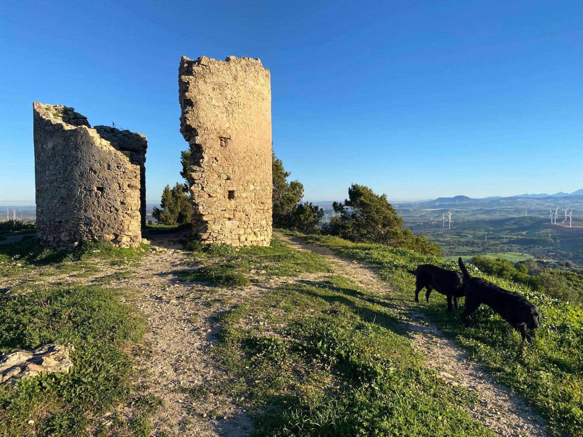 Casita De La Suerte Διαμέρισμα Medina-Sidonia Εξωτερικό φωτογραφία